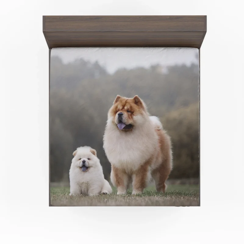 Puppies in a Bauble: Chow Chow Quartet Fitted Sheet