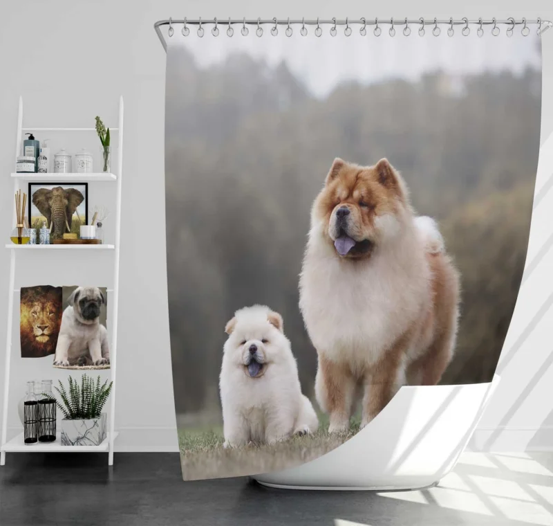 Puppies in a Bauble: Chow Chow Quartet Shower Curtain