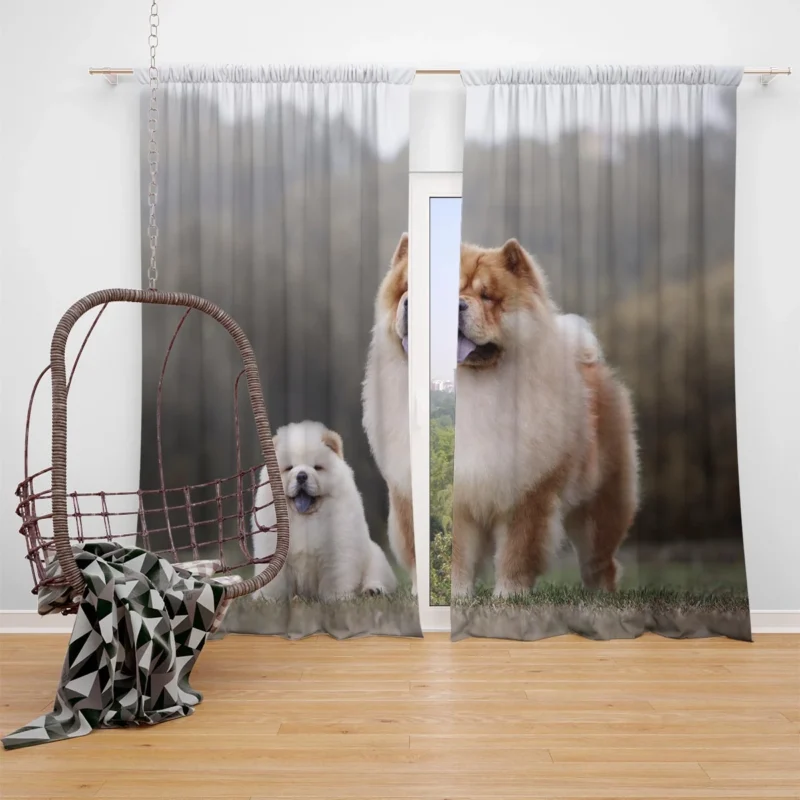 Puppies in a Bauble: Chow Chow Quartet Window Curtain