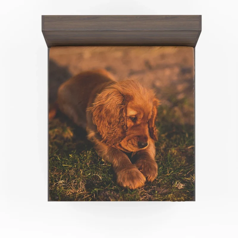 Puppies in a Bauble: Cocker Spaniel Quartet Fitted Sheet