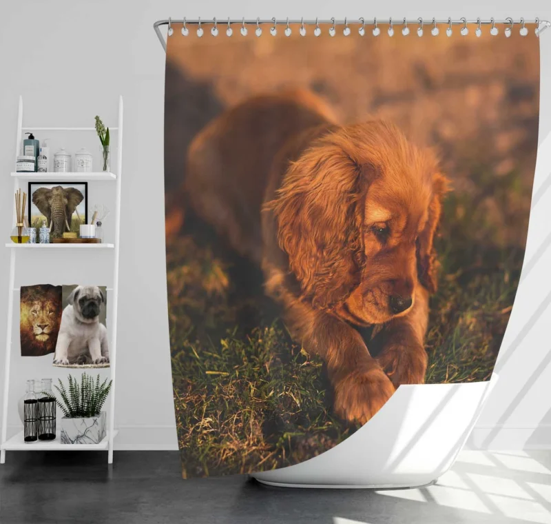 Puppies in a Bauble: Cocker Spaniel Quartet Shower Curtain