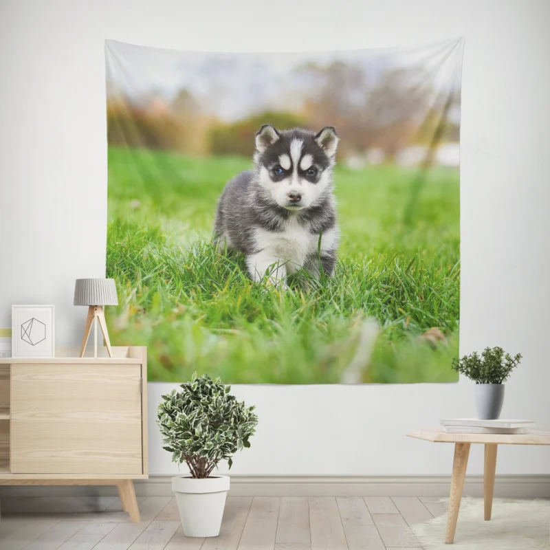 Puppies with Bright Eyes  Siberian Husky Quartet Wall Tapestry