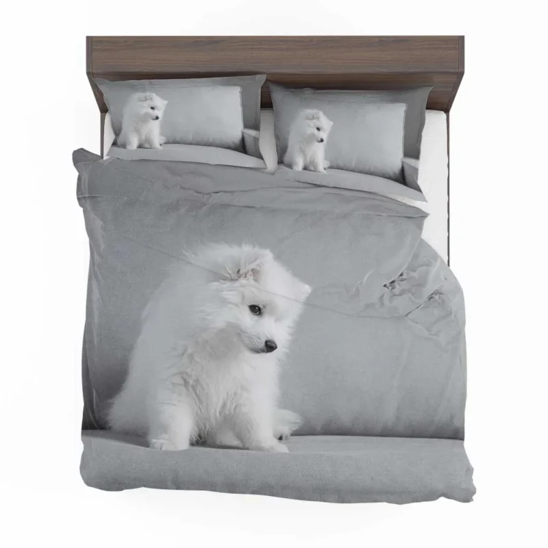 Puppy Bauble: Samoyed Quartet Bedding Set 1