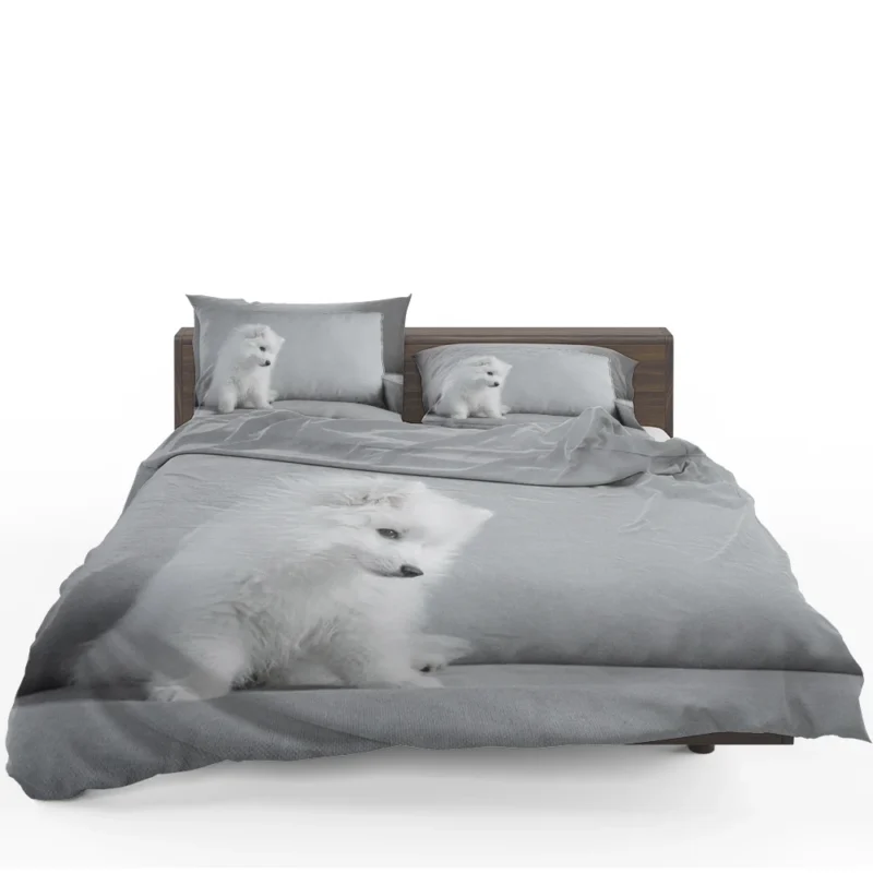 Puppy Bauble: Samoyed Quartet Bedding Set