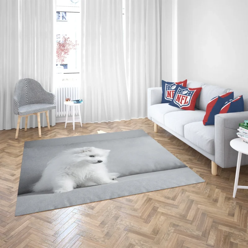 Puppy Bauble: Samoyed Quartet Floor Rug 2