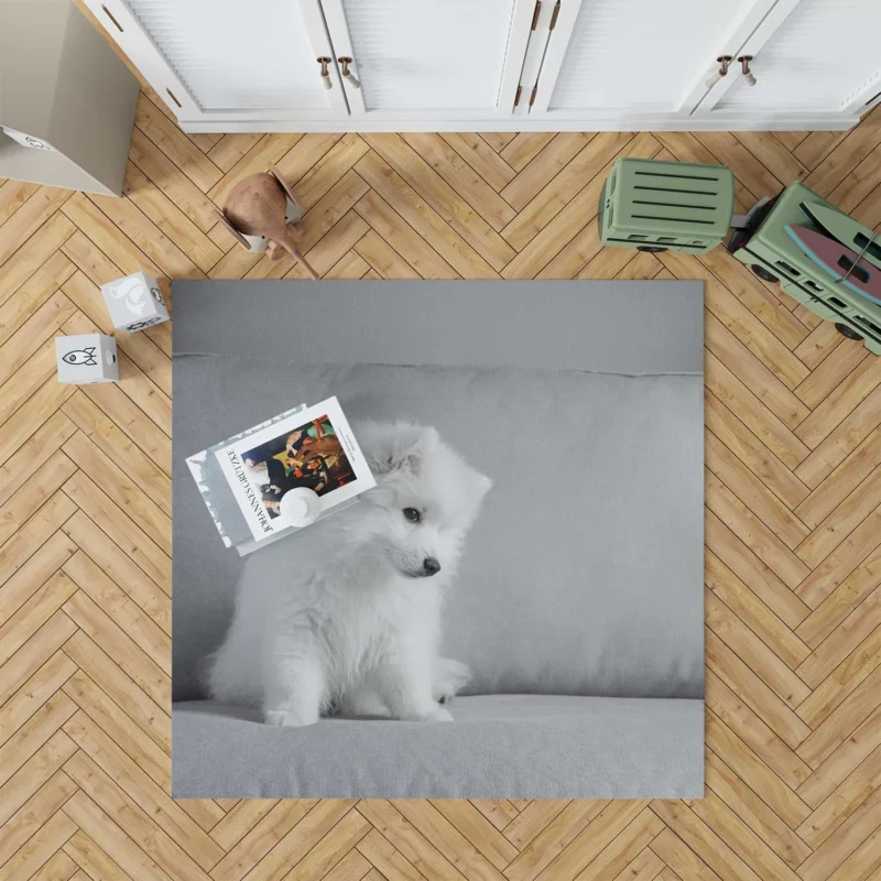 Puppy Bauble: Samoyed Quartet Floor Rug