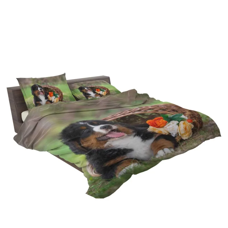 Puppy Cuteness with Bernese Ba: Bernese Mountain Dog Bedding Set 2