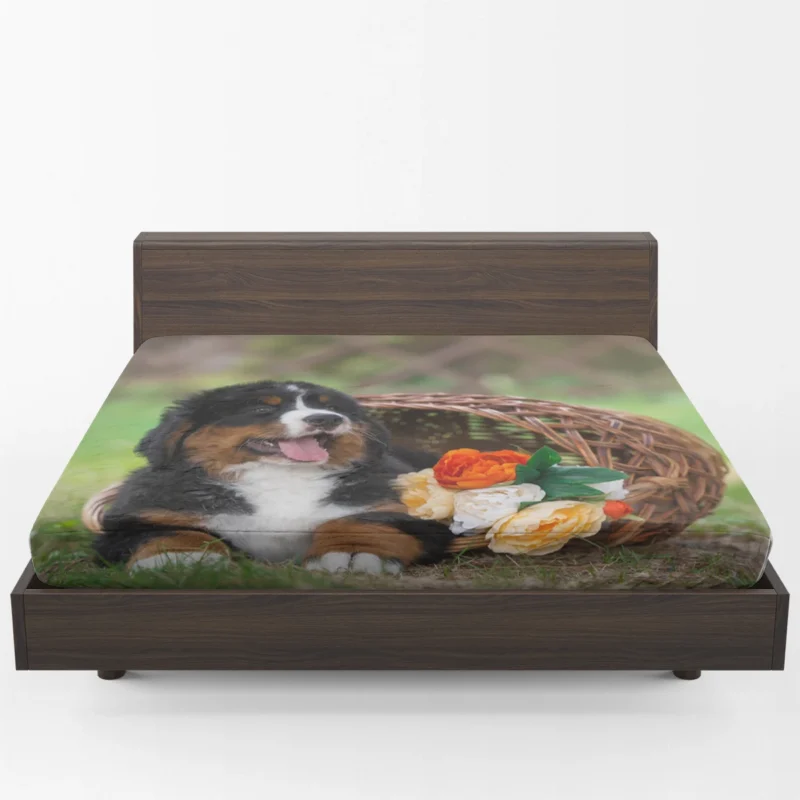 Puppy Cuteness with Bernese Ba: Bernese Mountain Dog Fitted Sheet 1