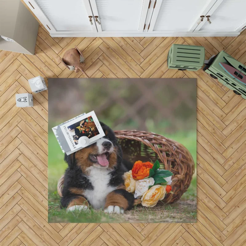 Puppy Cuteness with Bernese Ba: Bernese Mountain Dog Floor Rug