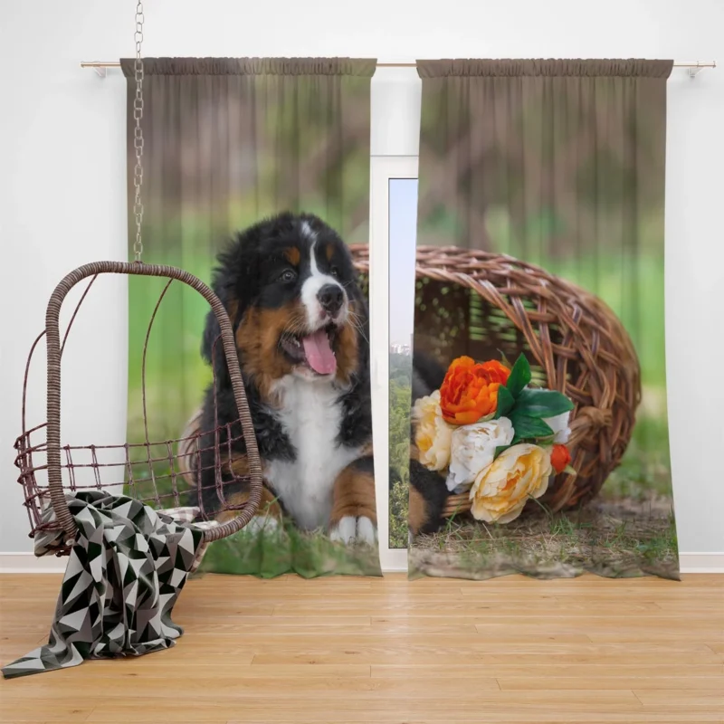 Puppy Cuteness with Bernese Ba: Bernese Mountain Dog Window Curtain