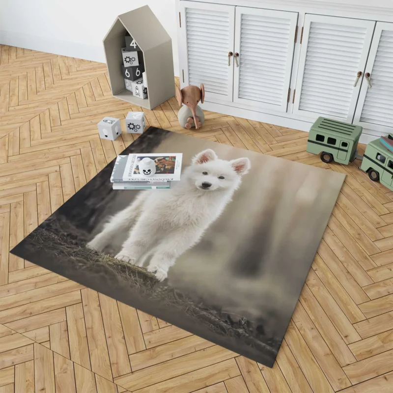 Puppy Dog: Samoyed Quartet Floor Rug 1