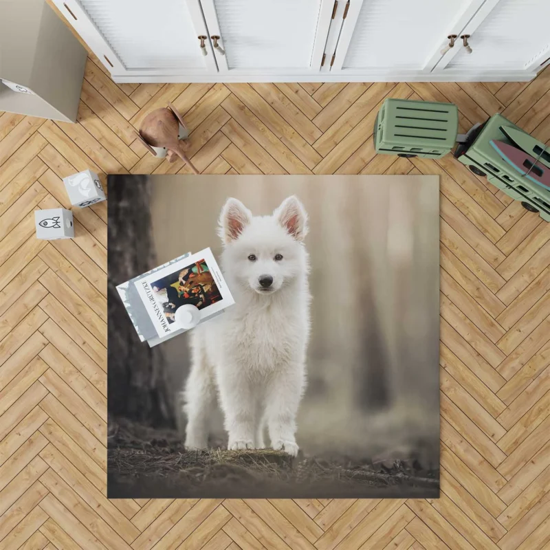 Puppy Dog: Samoyed Quartet Floor Rug