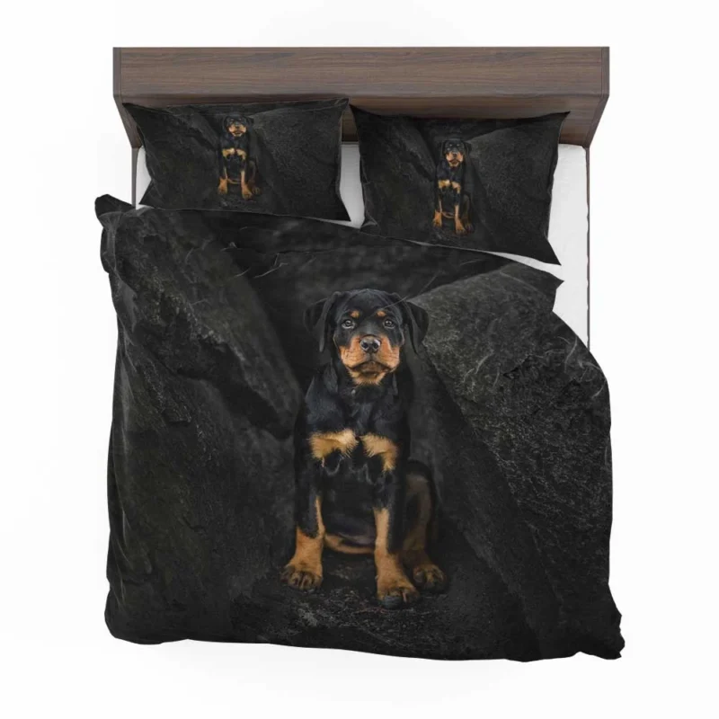 Puppy Gaze in Depth: Rottweiler Quartet Bedding Set 1