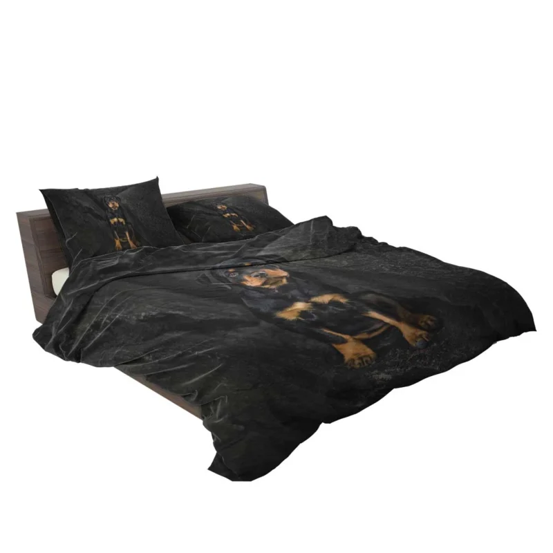 Puppy Gaze in Depth: Rottweiler Quartet Bedding Set 2