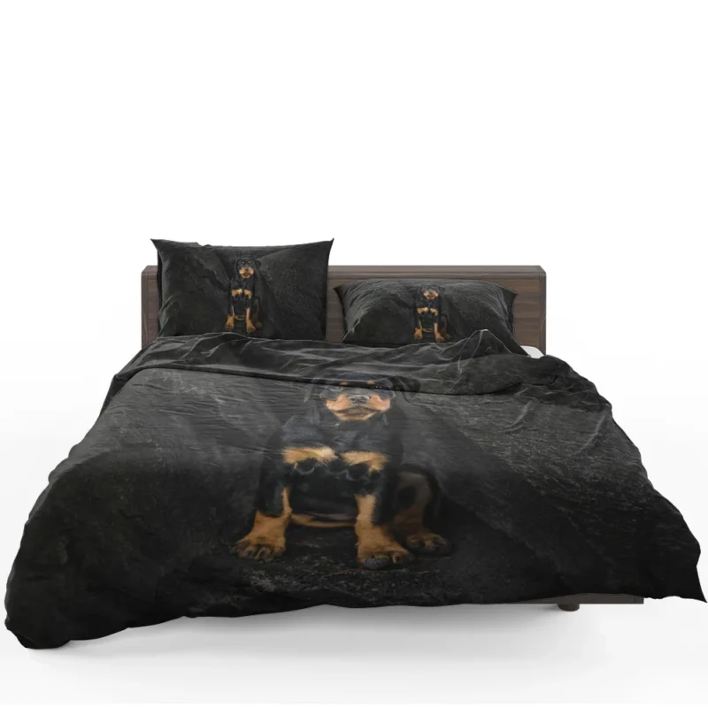 Puppy Gaze in Depth: Rottweiler Quartet Bedding Set