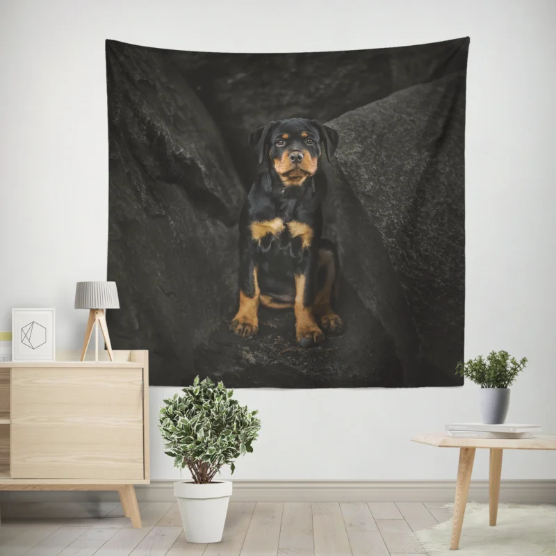 Puppy Gaze in Depth  Rottweiler Quartet Wall Tapestry