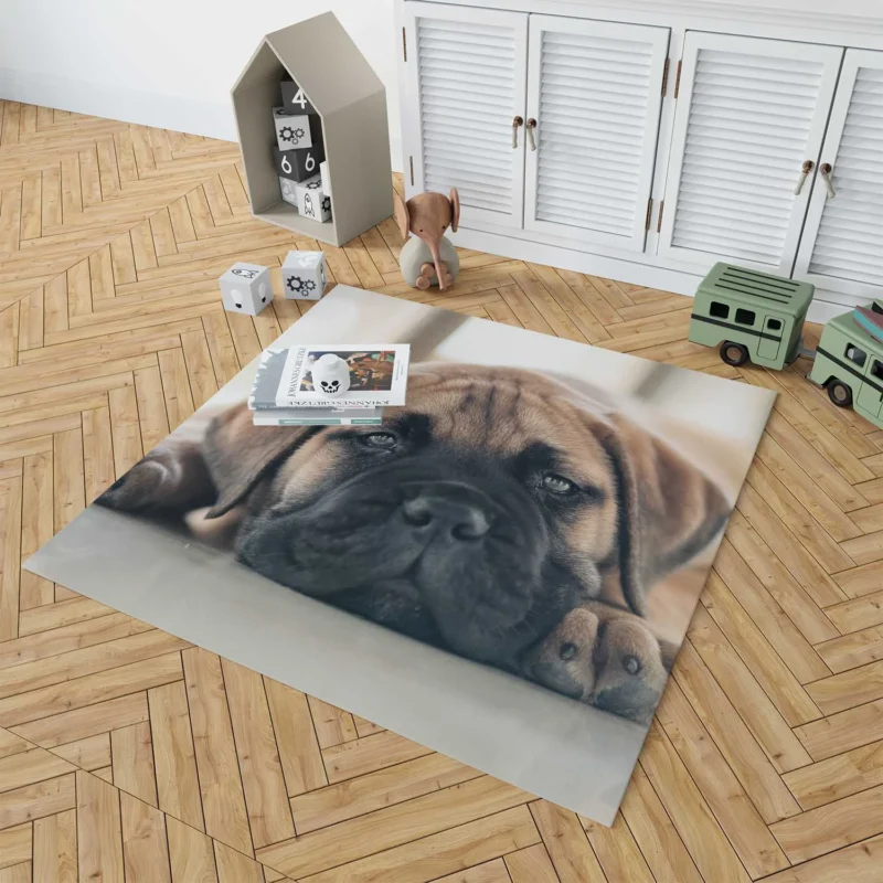 Puppy Love in Fourfold: Bullmastiff Quartet Floor Rug 1