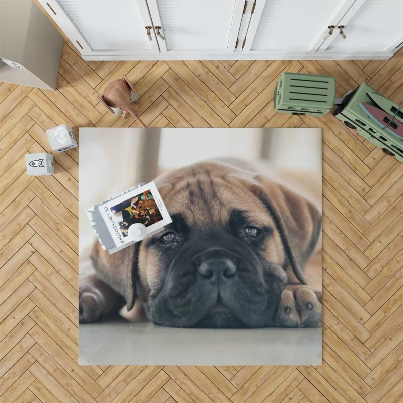 Puppy Love in Fourfold: Bullmastiff Quartet Floor Rug