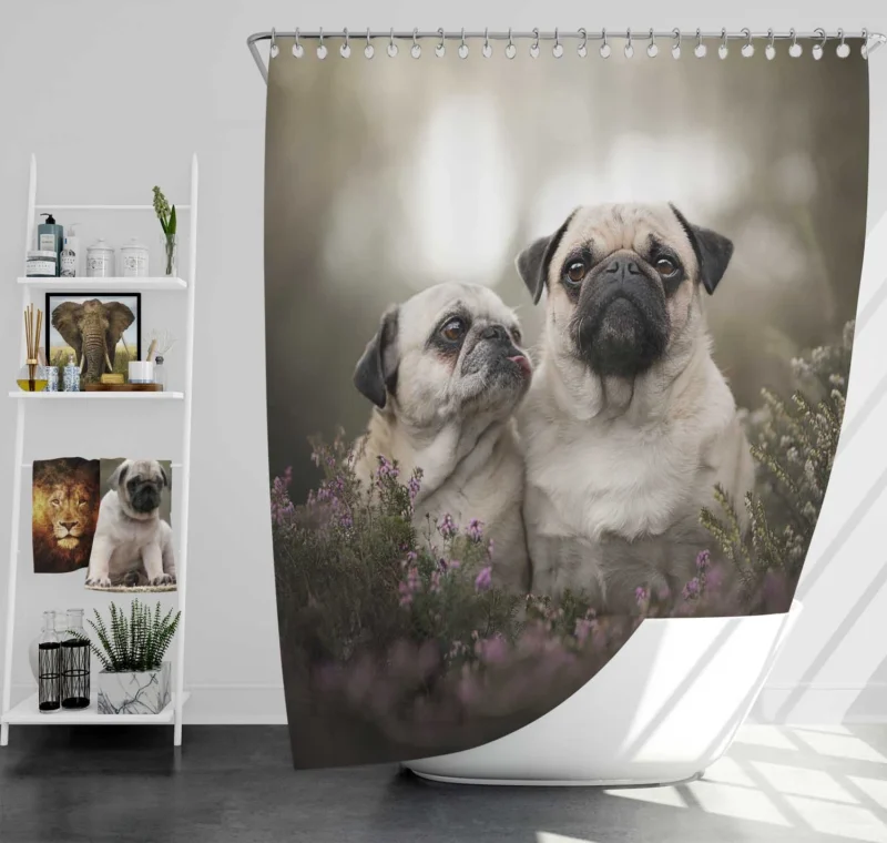 Puppy Muzzle and Bauble: Pug Quartet Shower Curtain