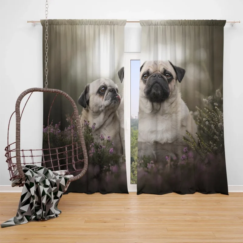 Puppy Muzzle and Bauble: Pug Quartet Window Curtain