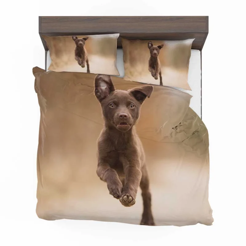 Puppy Playtime in Bokeh: Kelpie Quartet Bedding Set 1