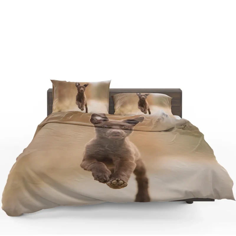 Puppy Playtime in Bokeh: Kelpie Quartet Bedding Set