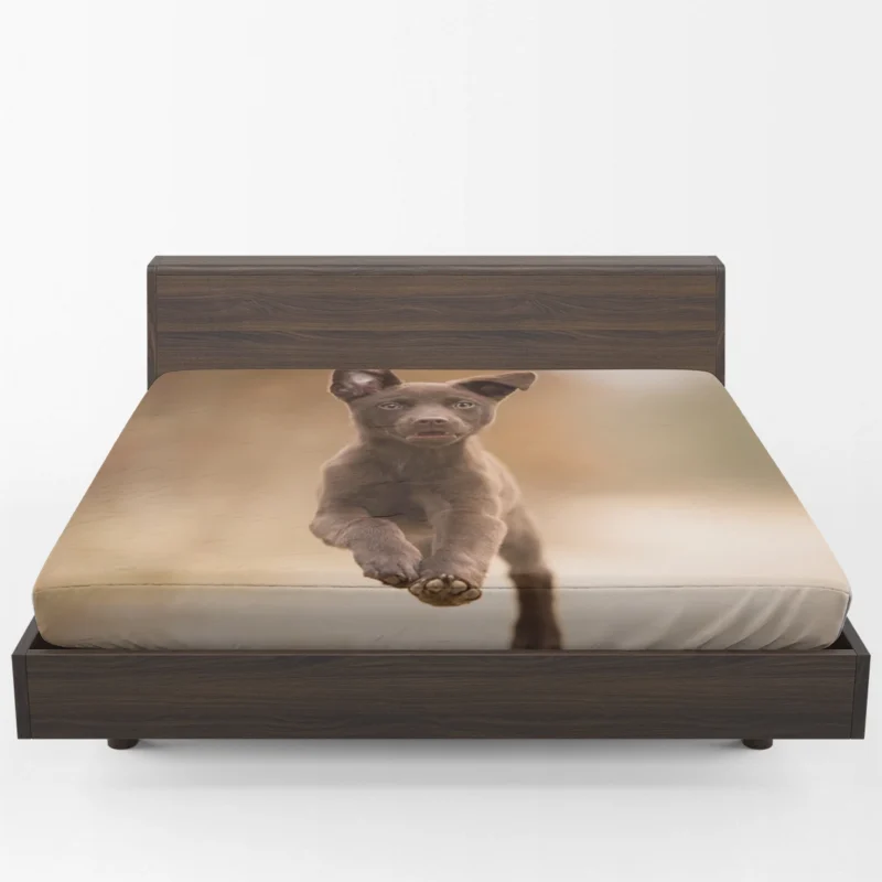 Puppy Playtime in Bokeh: Kelpie Quartet Fitted Sheet 1