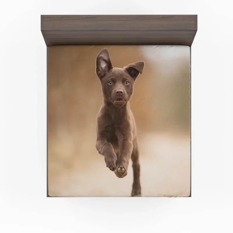 Puppy Playtime in Bokeh: Kelpie Quartet Fitted Sheet