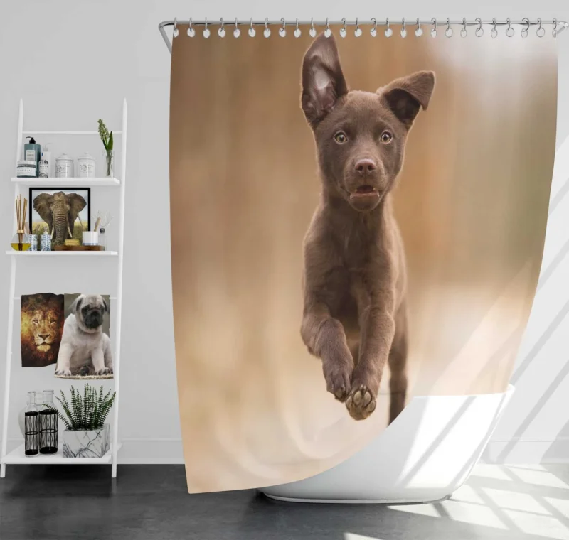 Puppy Playtime in Bokeh: Kelpie Quartet Shower Curtain