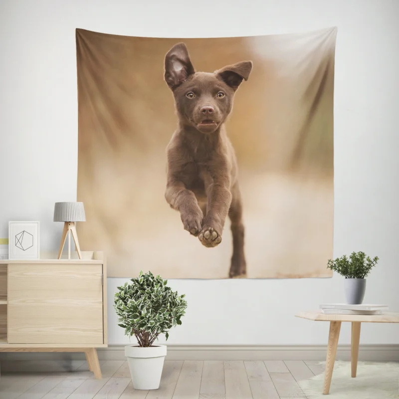 Puppy Playtime in Bokeh  Kelpie Quartet Wall Tapestry