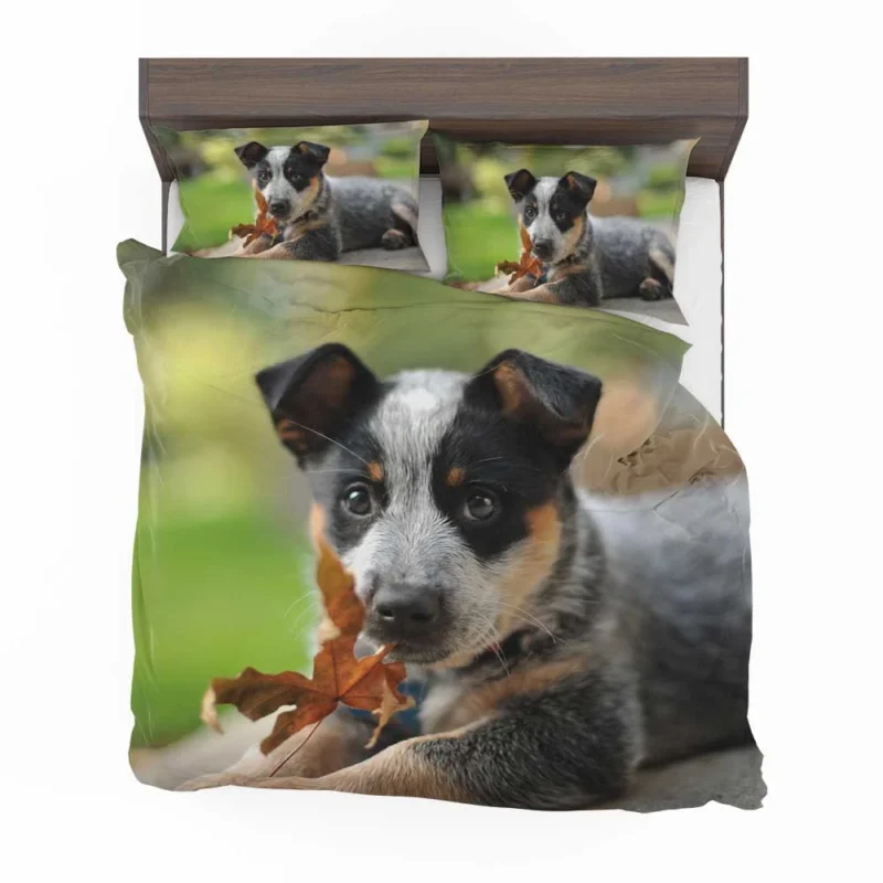 Puppy with Bokeh Background: Australian Cattle Dog Bedding Set 1