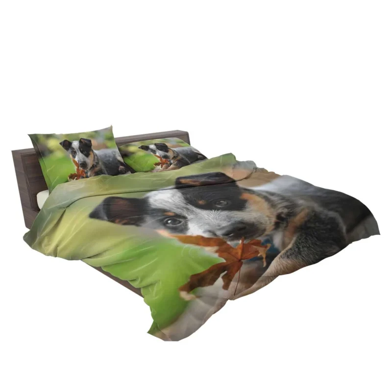 Puppy with Bokeh Background: Australian Cattle Dog Bedding Set 2