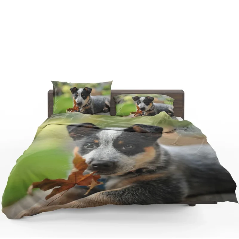 Puppy with Bokeh Background: Australian Cattle Dog Bedding Set