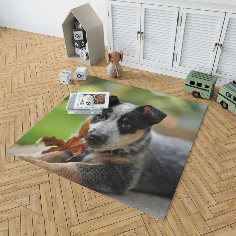 Puppy with Bokeh Background: Australian Cattle Dog Floor Rug 1