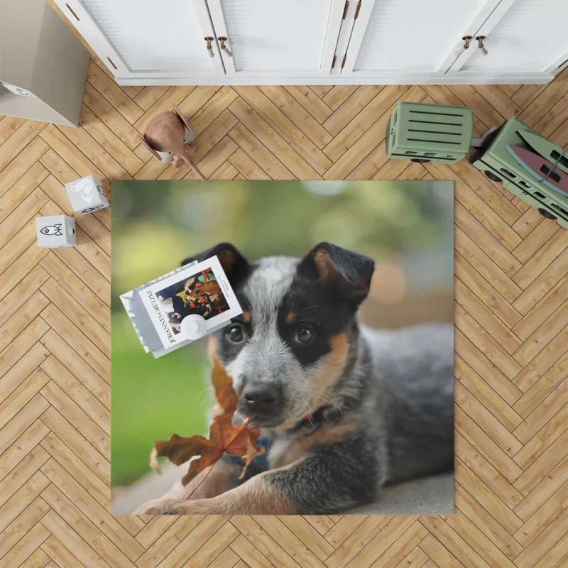 Puppy with Bokeh Background: Australian Cattle Dog Floor Rug