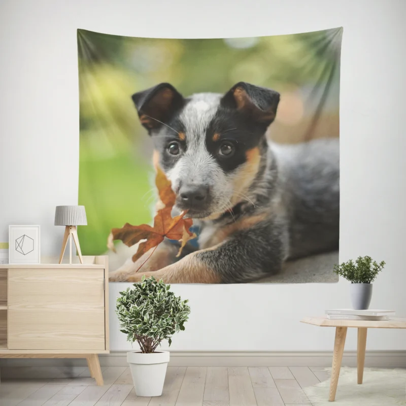 Puppy with Bokeh Background  Australian Cattle Dog Wall Tapestry