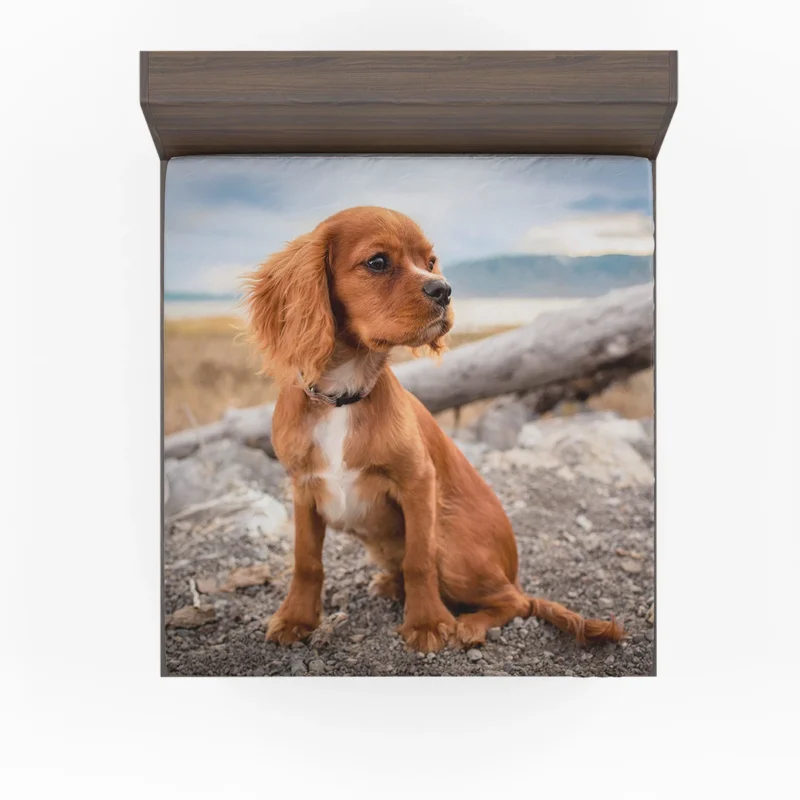 Pure Cuteness: Adorable Little Spaniel Puppy Fitted Sheet