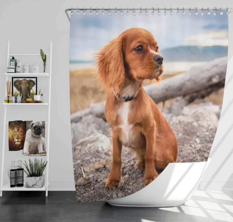 Pure Cuteness: Adorable Little Spaniel Puppy Shower Curtain