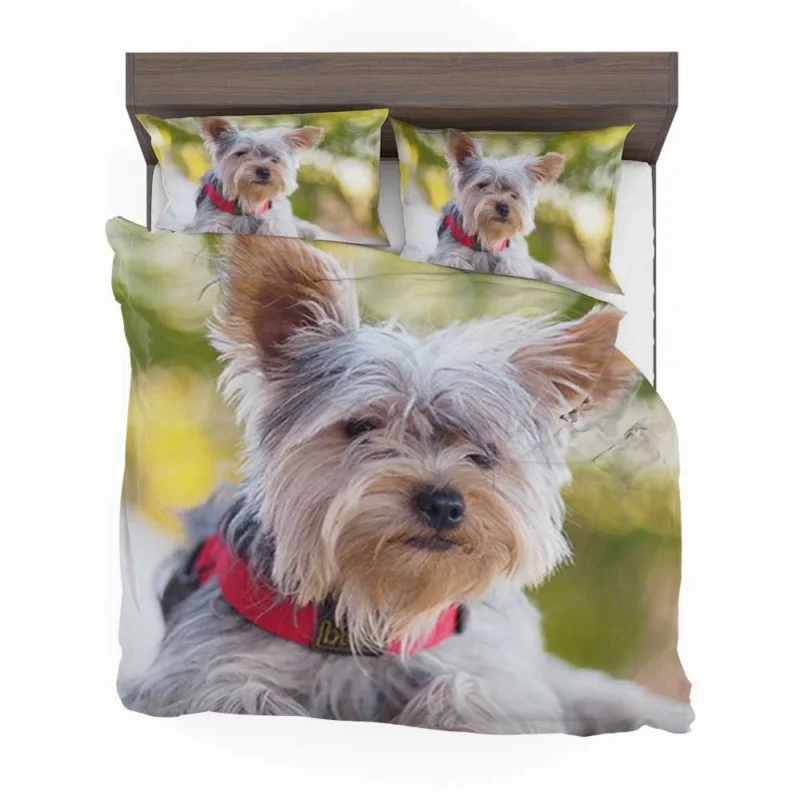 Pure Silk Delight: Silky Terrier Quartet Bedding Set 1