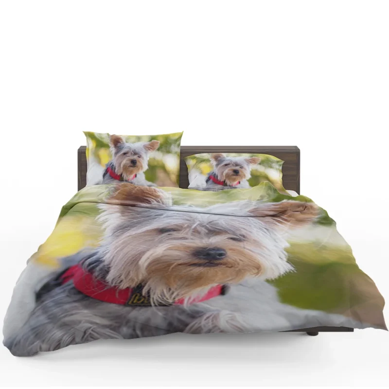 Pure Silk Delight: Silky Terrier Quartet Bedding Set