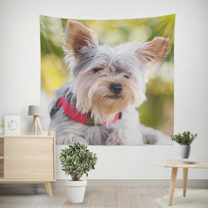 Pure Silk Delight  Silky Terrier Quartet Wall Tapestry