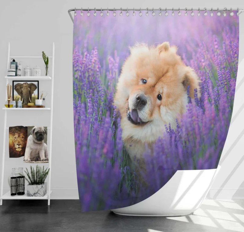 Purple Floral Elegance with Chow Chows Shower Curtain