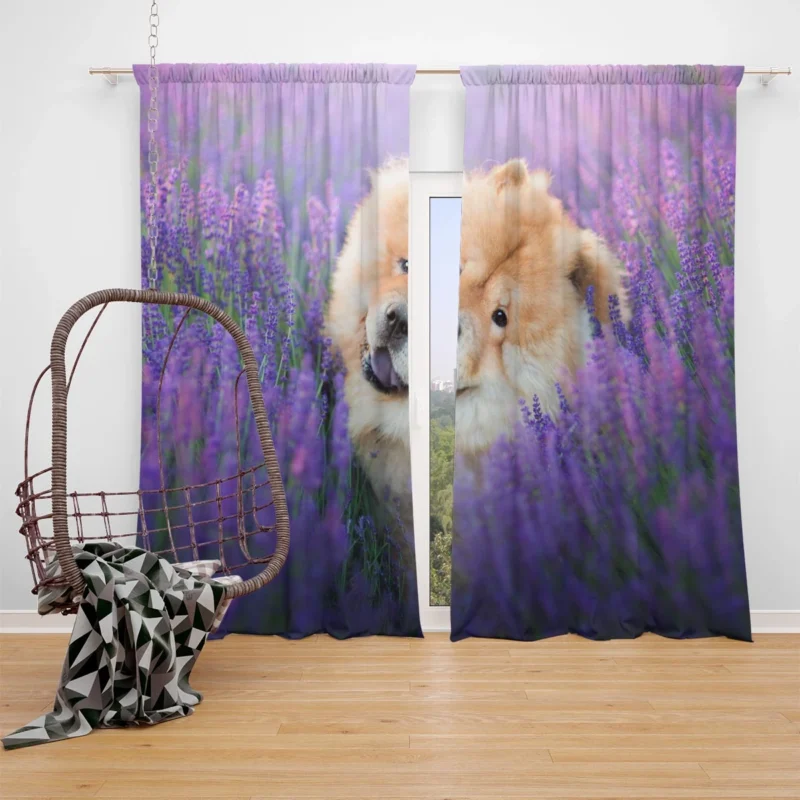 Purple Floral Elegance with Chow Chows Window Curtain