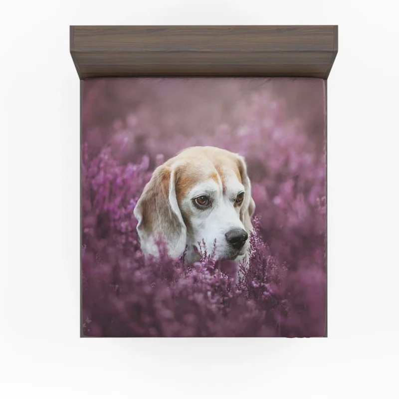 Purple Flower Beauty with Blur: Beagle Fitted Sheet