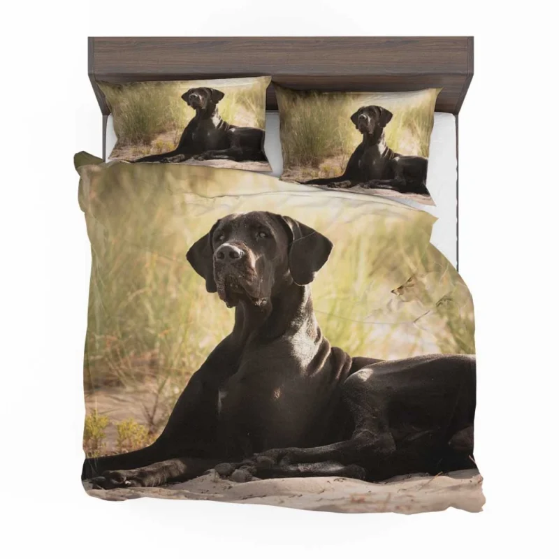 Quadruple Canine Beauty: Great Dane Elegance Bedding Set 1