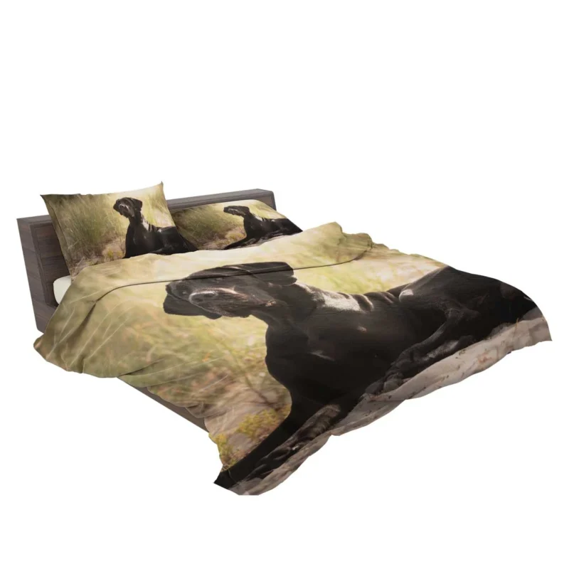 Quadruple Canine Beauty: Great Dane Elegance Bedding Set 2