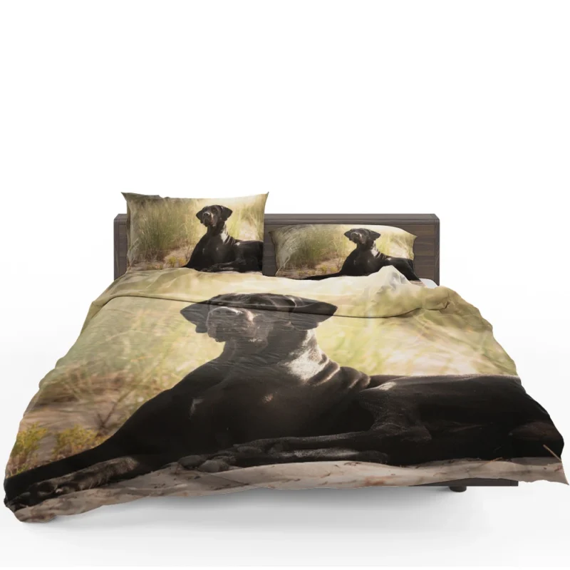 Quadruple Canine Beauty: Great Dane Elegance Bedding Set