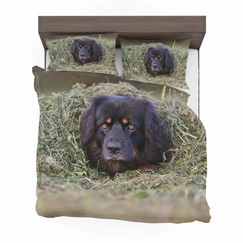 Quadruple Canine Beauty: Hovawart Dogs Bedding Set 1