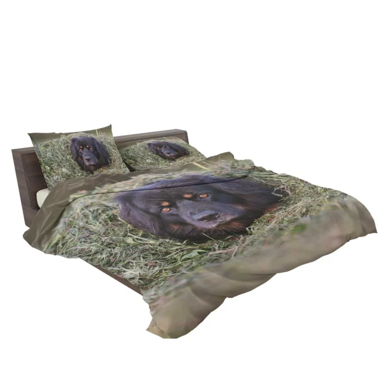 Quadruple Canine Beauty: Hovawart Dogs Bedding Set 2