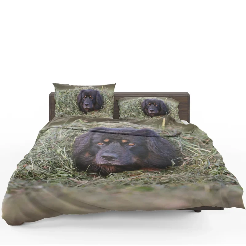 Quadruple Canine Beauty: Hovawart Dogs Bedding Set